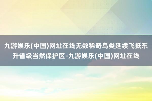九游娱乐(中国)网址在线无数稀奇鸟类延续飞抵东升省级当然保护区-九游娱乐(中国)网址在线