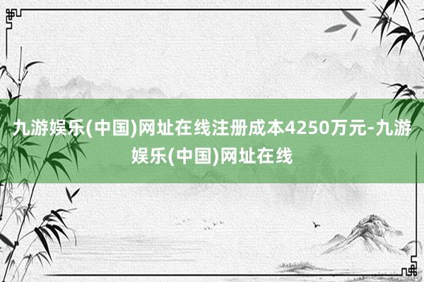 九游娱乐(中国)网址在线注册成本4250万元-九游娱乐(中国)网址在线