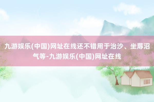 九游娱乐(中国)网址在线还不错用于治沙、坐蓐沼气等-九游娱乐(中国)网址在线